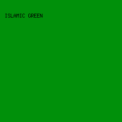 00900A - Islamic Green color image preview