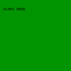009400 - Islamic Green color image preview