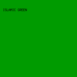 009B00 - Islamic Green color image preview