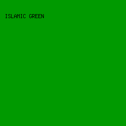 009a00 - Islamic Green color image preview