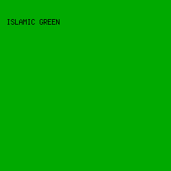 00AA00 - Islamic Green color image preview