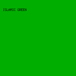 00AE00 - Islamic Green color image preview