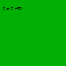 00b002 - Islamic Green color image preview
