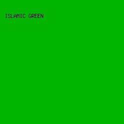 00b400 - Islamic Green color image preview