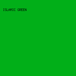 01AF18 - Islamic Green color image preview