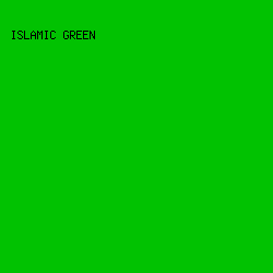 01C201 - Islamic Green color image preview