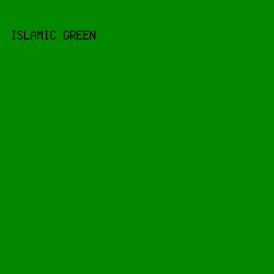 028900 - Islamic Green color image preview