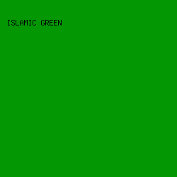 039803 - Islamic Green color image preview