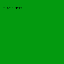 039A0F - Islamic Green color image preview