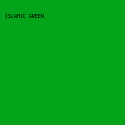 03A419 - Islamic Green color image preview