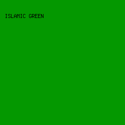 049800 - Islamic Green color image preview