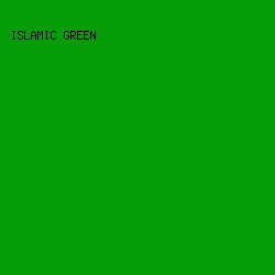 049D08 - Islamic Green color image preview