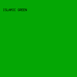 04a704 - Islamic Green color image preview