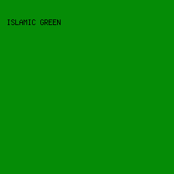 058C06 - Islamic Green color image preview