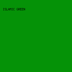059207 - Islamic Green color image preview