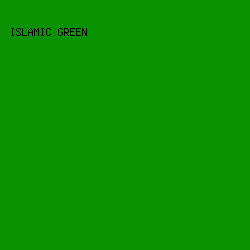 099202 - Islamic Green color image preview