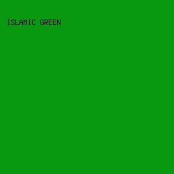 099911 - Islamic Green color image preview