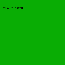 09ad04 - Islamic Green color image preview