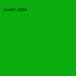 0BAC0D - Islamic Green color image preview