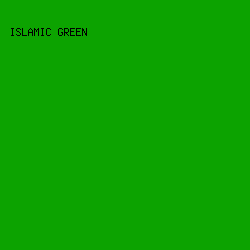 0CA300 - Islamic Green color image preview