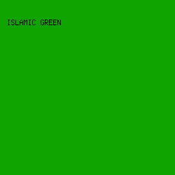 0fa400 - Islamic Green color image preview