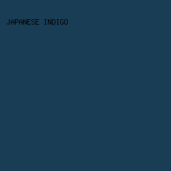 193D55 - Japanese Indigo color image preview