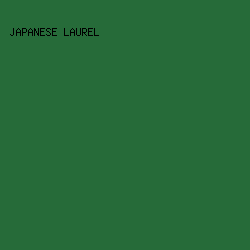 266B39 - Japanese Laurel color image preview