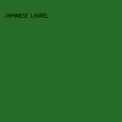 266b28 - Japanese Laurel color image preview
