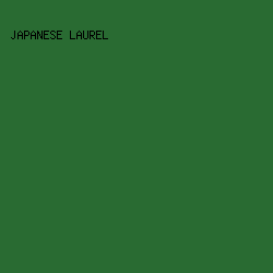 296B32 - Japanese Laurel color image preview