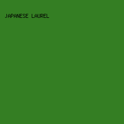 347e23 - Japanese Laurel color image preview