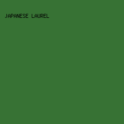377234 - Japanese Laurel color image preview