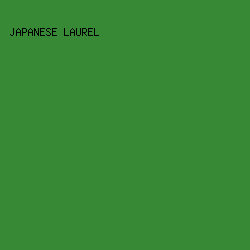 378936 - Japanese Laurel color image preview