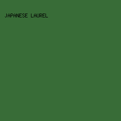 386c37 - Japanese Laurel color image preview