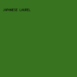 38731f - Japanese Laurel color image preview