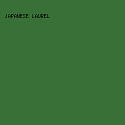 397037 - Japanese Laurel color image preview