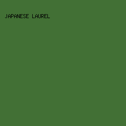427035 - Japanese Laurel color image preview