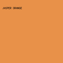 E89149 - Jasper Orange color image preview