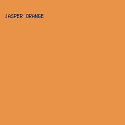 E89348 - Jasper Orange color image preview