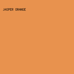 e8924e - Jasper Orange color image preview