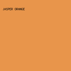 e8954b - Jasper Orange color image preview