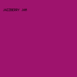 9E136D - Jazzberry Jam color image preview