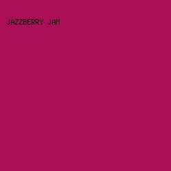 AA0E57 - Jazzberry Jam color image preview