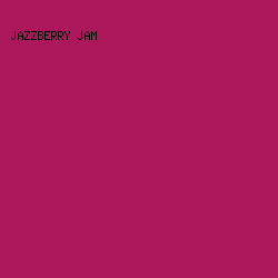 AC175B - Jazzberry Jam color image preview