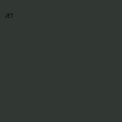 313733 - Jet color image preview