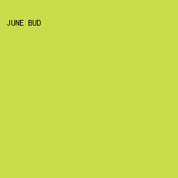 C8DD49 - June Bud color image preview