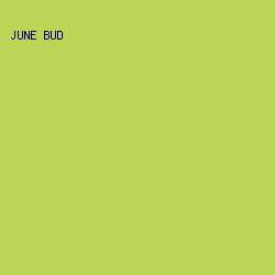 bbd554 - June Bud color image preview