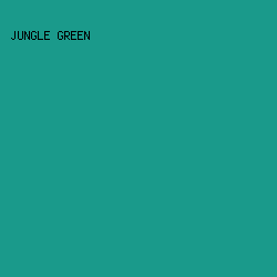 1A9A8B - Jungle Green color image preview