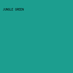 1C9E8F - Jungle Green color image preview