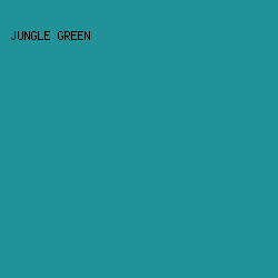 1f9398 - Jungle Green color image preview