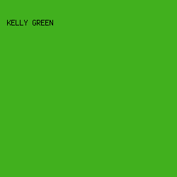 41B01E - Kelly Green color image preview